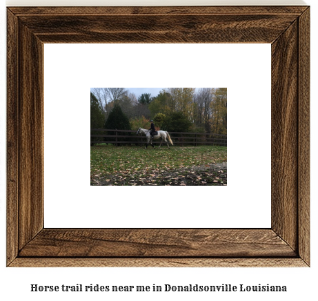 horse trail rides near me in Donaldsonville, Louisiana